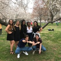 Cherry Blossom Festival 2017 Cherry Blossom Festival 2017