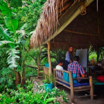 Teaching in the Jungle!
