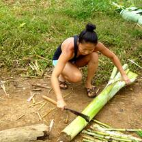 Help to prepare enrichments for the elephants