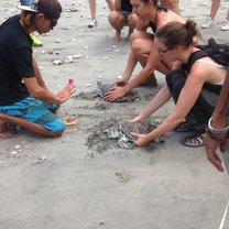 releasing 2 turtles into the ocean