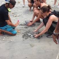releasing 2 turtles into the ocean