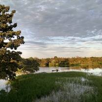 landscape from home