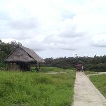 little house