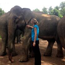 Get to know the elephants personally