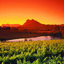 summer study abroad in stellenbosch south africa