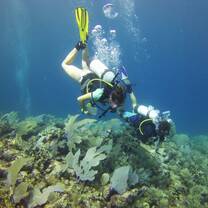 An underwater image of someone scuba diving.
