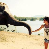 Volunteers caring for elephants on their gap year in Thailand