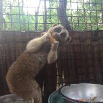 Get to know the animals at the wildlife sanctuary in Thailand