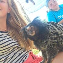 Participants offer hands-on care to animals in need