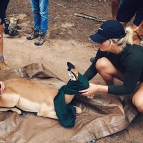 Vet interns help to care for wildlife Vet interns help to care for wildlife