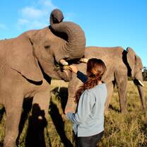 Get hands-on with the elephants, getting to know their individual personalities
