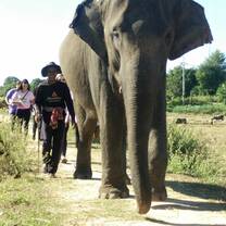 Country Roads Thailand Elephant Sanctuary