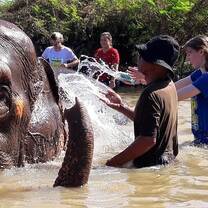 Country Roads Thailand Elephant Sanctuary
