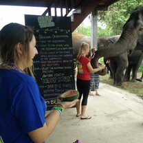 Country Roads Thailand Elephant Sanctuary