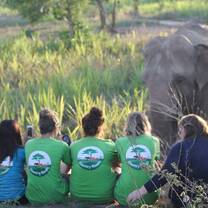Country Roads Thailand Elephant Sanctuary