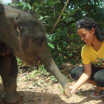 Country Roads Thailand Elephant Sanctuary