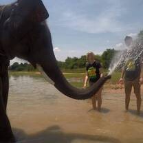 Country Roads Thailand Elephant Sanctuary