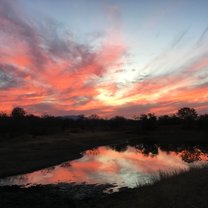 African sunset 