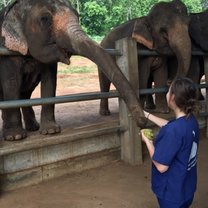 Who would have thought I would have the chance to feed these amazing beings sugarcane and bananas?