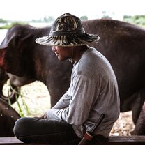 Country Roads Thailand Elephant Sanctuary