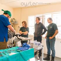 Vet interns shadow in a veterinary clinic in South Africa