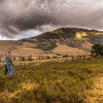 Enjoy seeing some incredible South African scenery as you travel round on the mobile veterinary unit Enjoy seeing some incredible South African scenery as you travel round on the mobile veterinary unit