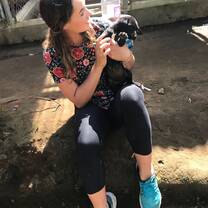 Dog Shelter