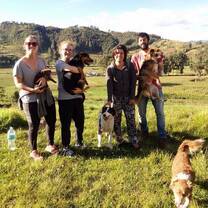 Volunteer Peru | Learn Spanish Peru | Working Abroad