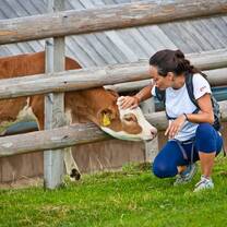 8-day walking tour BEST WALKS IN SLOVENIA - Velika Planina meadow