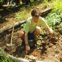 farm work