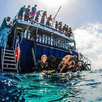 Scuba Diving on the Great Barrier Reef 