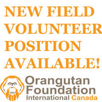 New Field Volunteer Position Available