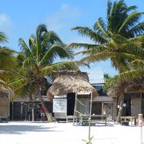 Dive Camp