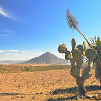 ITTT TEFL In-Class Course in Mexico
