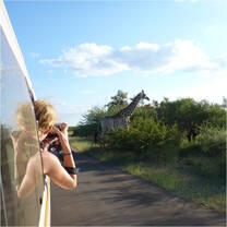 All Out Africa- Swaziland Volunteer Projects - Kruger tour
