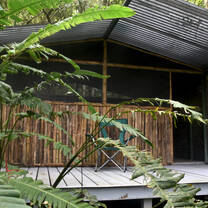 Bamboo hut