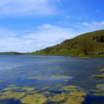 ITTT In-Class TEFL Course in Limerick