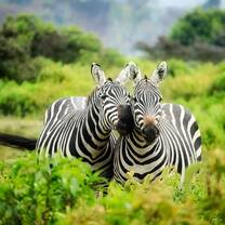 In-Class TEFL in Cape Town, South Africa