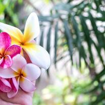 ITTT TEFL Course in Indonesia