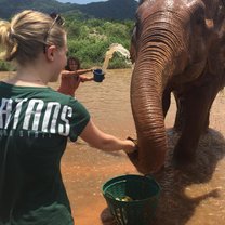 Feeding and bathing elephants on a TEAn excursion to the Elephant Nature Park.