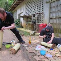 Help with enrichments for orangutans in Malaysia