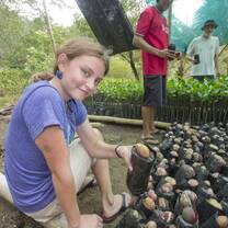 Mangrove reforestation