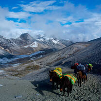 South America Semester: Andes & Amazon