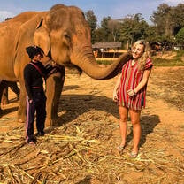 Chiang Mai elephant sanctuary 