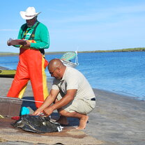 Baja turtle research