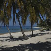 Maria La Gorda beach