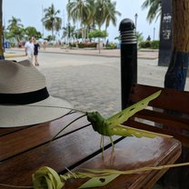 Street Crafts @ Santa Marta