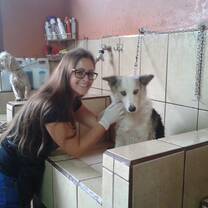 Animal care intern