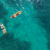 Conservation Research Intern in Samos Island Greece