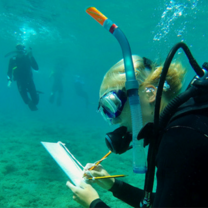 Intern in Samos Island Greece